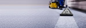 carpet cleaning illawarra