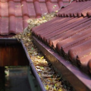 gutter cleaning thirroul