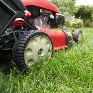 illawarra garden services