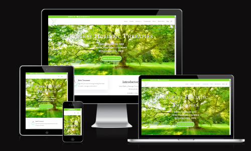 illawarra website design