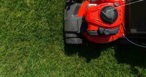lawn service horsley