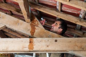 roof inspection illawarra