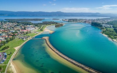 Spring Cleaning Wollongong: The Never-Complete Guide 2023