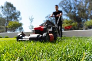 vista park lawn mowing